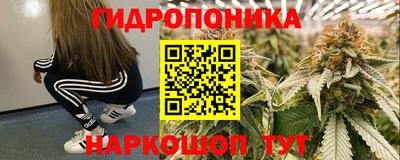гидра Апшеронск
